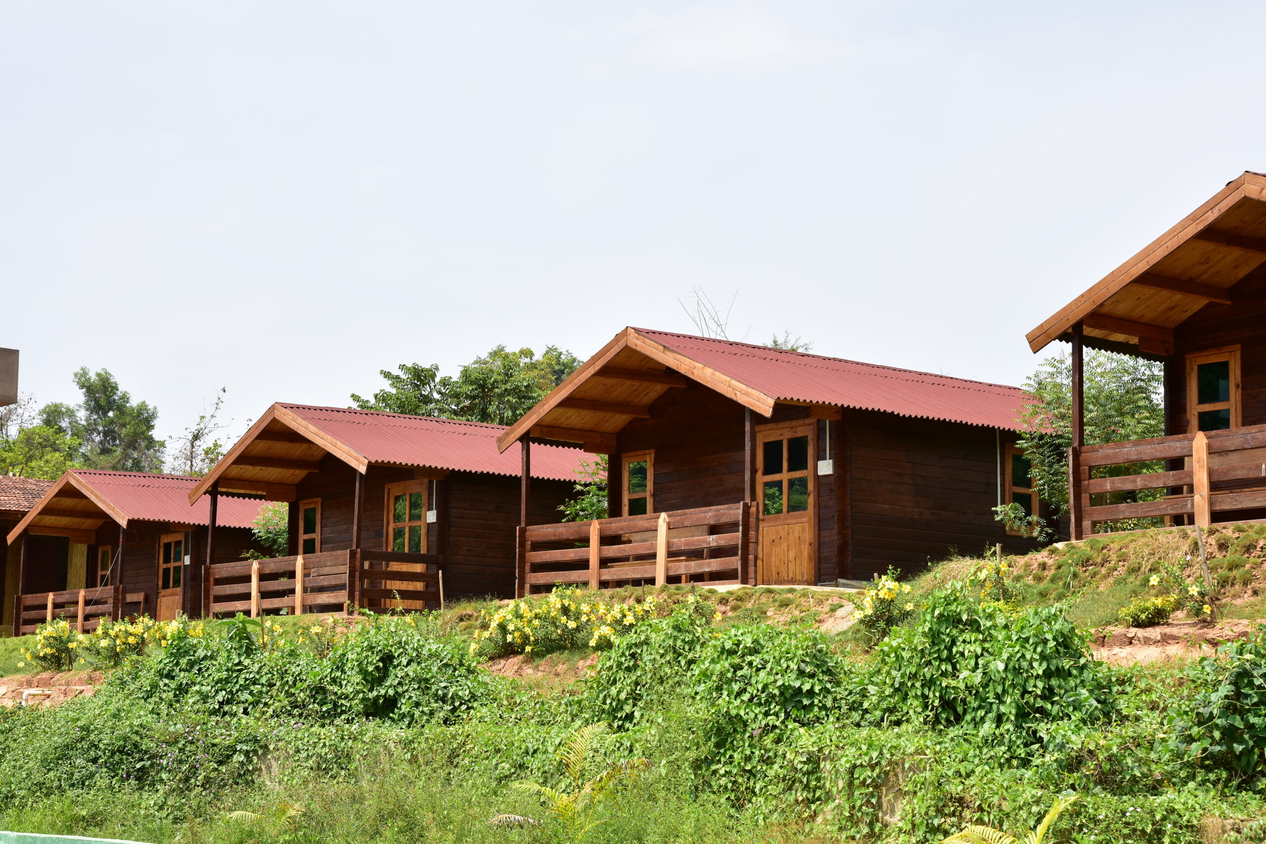 Natural Paradise Ayurclinic Dodamarg 3